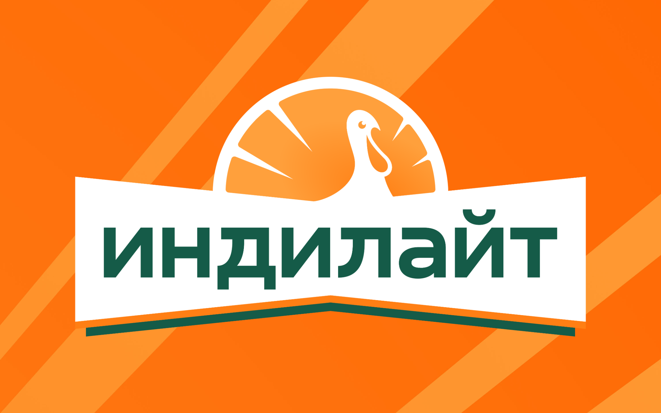 Новая статья